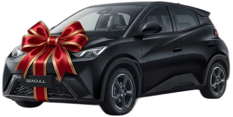 BYD Seagull